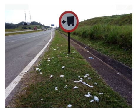 Um dos problemas verificados é que muitos motoristas ou passageiros descartam resíduos pela janela dos automóveis ou abandonam objetos na rodovia. 