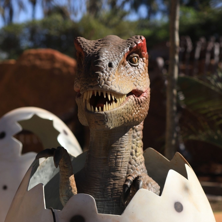 Thermas dos Laranjais e Vale dos Dinossauros estão entre as opções de diversão em família