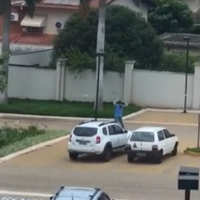 Tesourinhas assustam e divertem frequentadores de prédio comercial em Rio Preto 