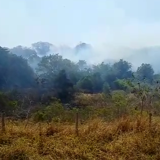 Defesa Civil alerta motoristas sobre os riscos provocados pela fumaça em incêndio na área do Ipa