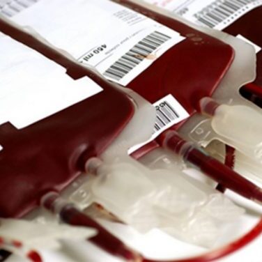 Sangue O negativo tem estoque mais crítico entre os tipos sanguíneos