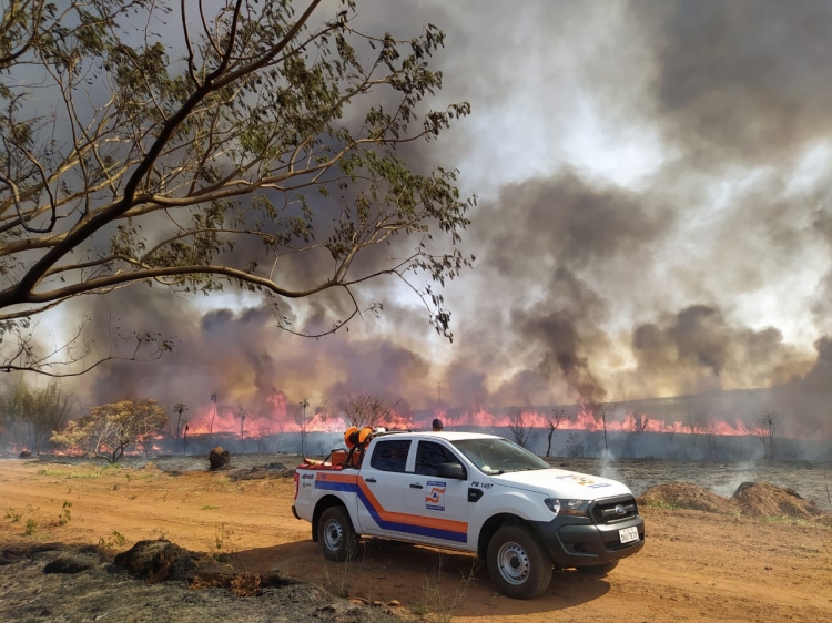 Incêndio que devastou parte da Floresta localizada na área do antigo IPA